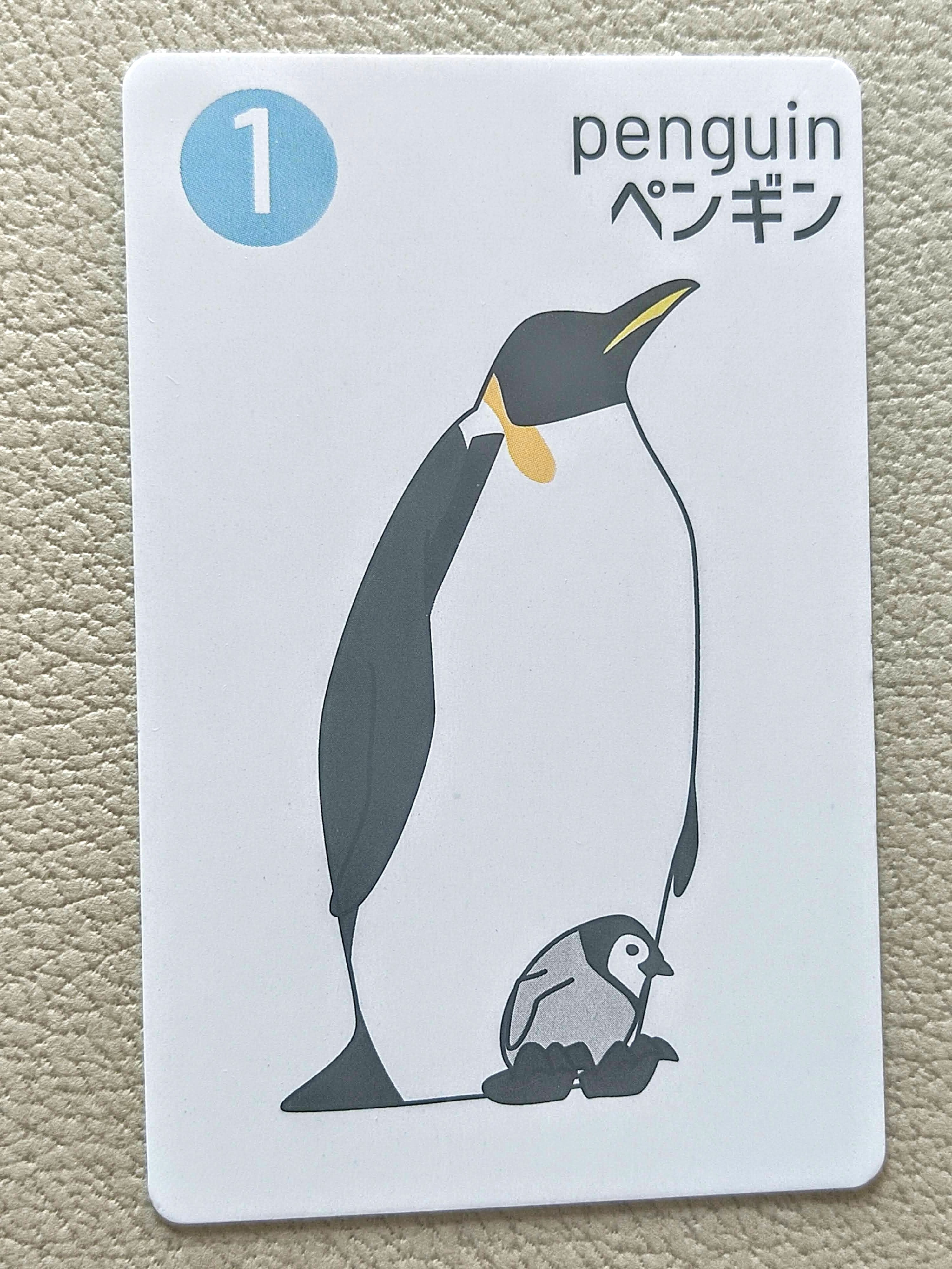 カードゲーム　ペンギン