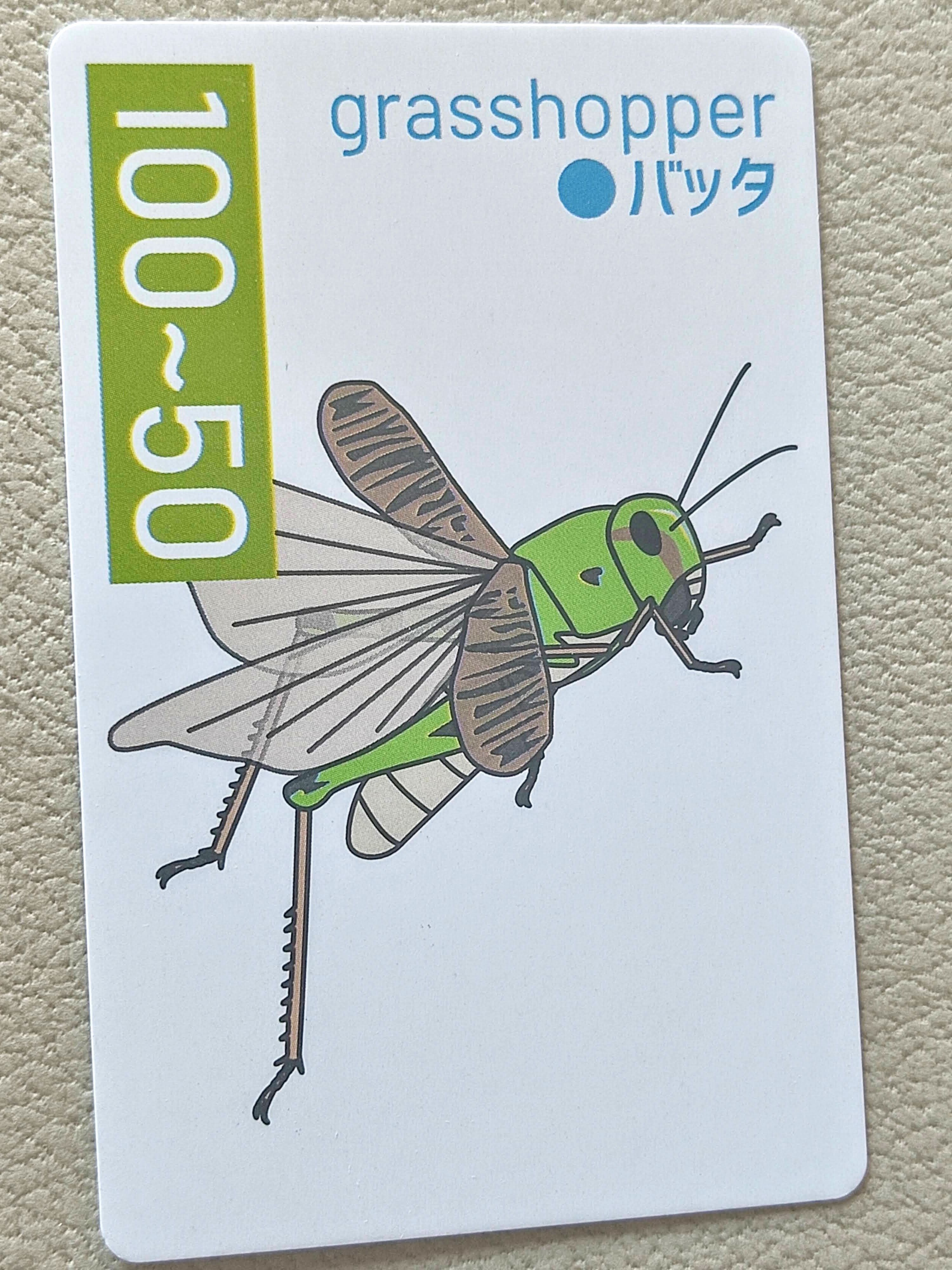 カードゲーム　昆虫